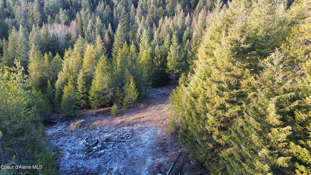 L7 B1 KELSO WOODS DR, Athol, ID 83801 photo 1