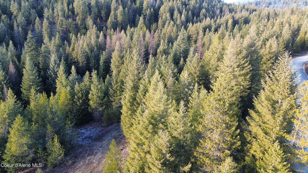 L7 B1 KELSO WOODS DR, Athol, ID 83801 photo 2