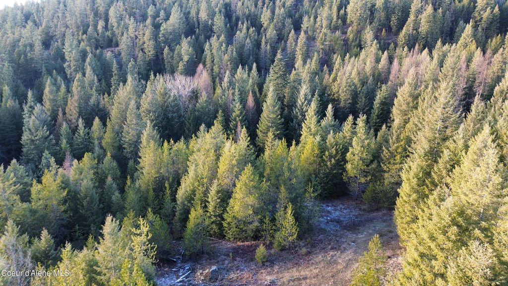 L7 B1 KELSO WOODS DR, Athol, ID 83801 photo 3