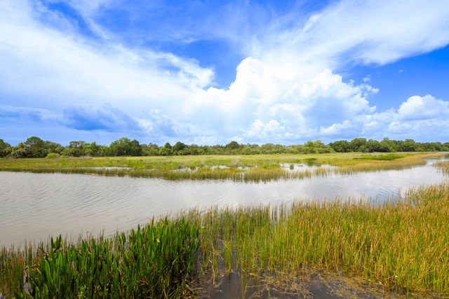 923 SW Grand Reserves Boulevard, Port St. Lucie, Port St Lucie, FL 34986