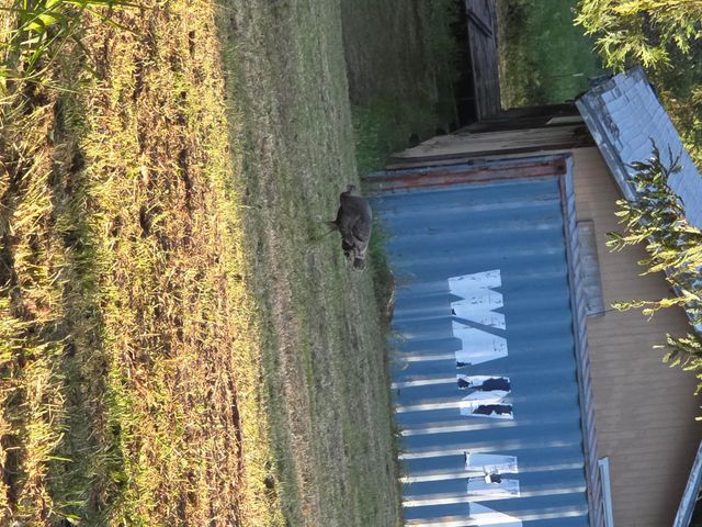 45171 Balch Park Road, Springville, CA 93265