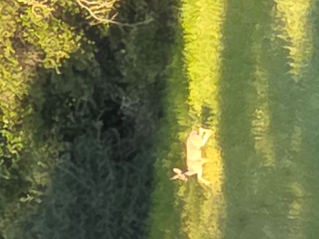 45171 Balch Park Road, Springville, CA 93265