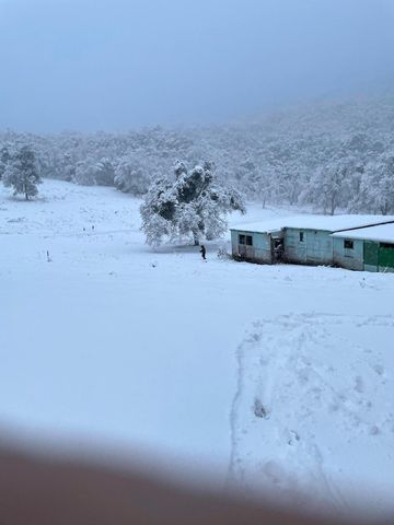 45171 Balch Park Road, Springville, CA 93265