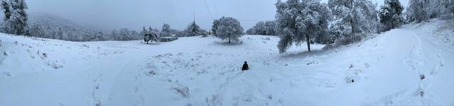 45171 Balch Park Road, Springville, CA 93265