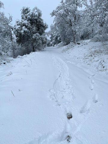 45171 Balch Park Road, Springville, CA 93265