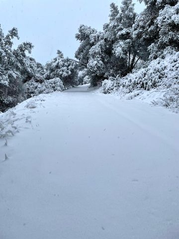 45171 Balch Park Road, Springville, CA 93265