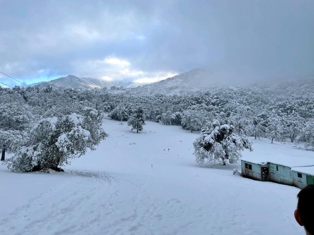 45171 Balch Park Road, Springville, CA 93265