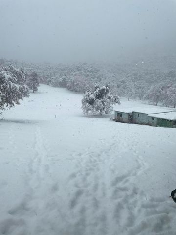 45171 Balch Park Road, Springville, CA 93265