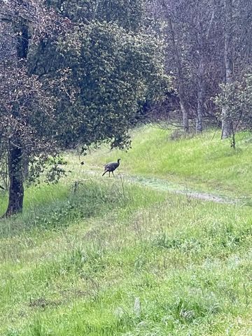 45171 Balch Park Road, Springville, CA 93265