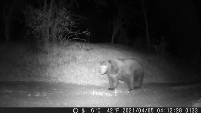 45171 Balch Park Road, Springville, CA 93265