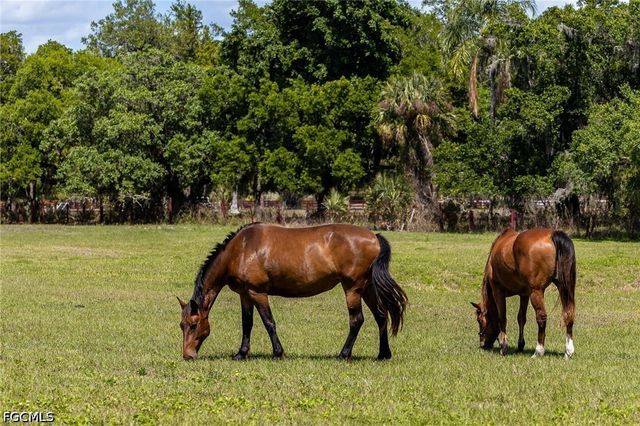 16100 N River RD, Alva, FL 33920