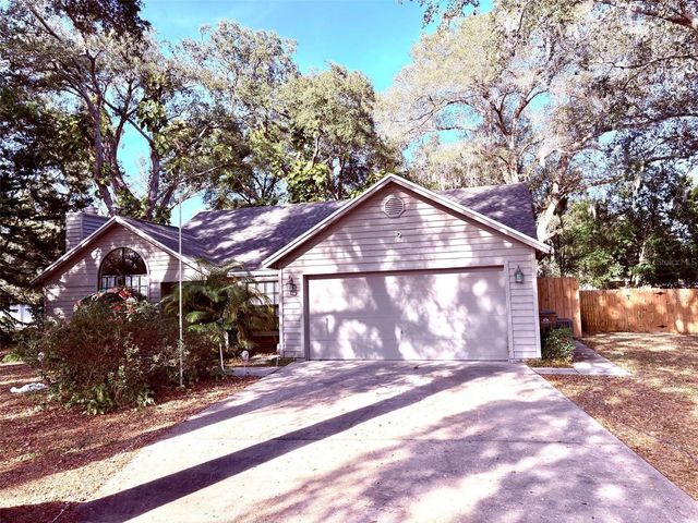 3909 LAKE FOREST STREET, Mount Dora, FL 32757