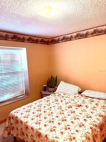 3909 LAKE FOREST STREET, Mount Dora, FL 32757