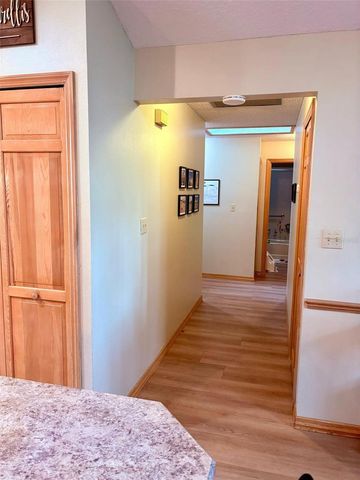 3909 LAKE FOREST STREET, Mount Dora, FL 32757