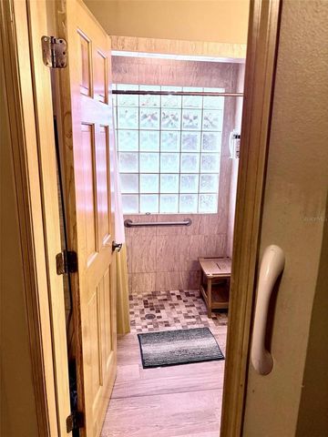 3909 LAKE FOREST STREET, Mount Dora, FL 32757