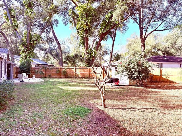 3909 LAKE FOREST STREET, Mount Dora, FL 32757