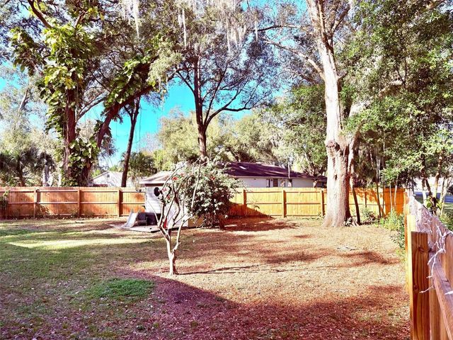 3909 LAKE FOREST STREET, Mount Dora, FL 32757