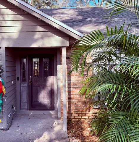 3909 LAKE FOREST STREET, Mount Dora, FL 32757