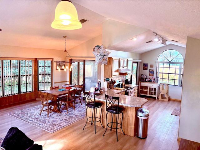 3909 LAKE FOREST STREET, Mount Dora, FL 32757