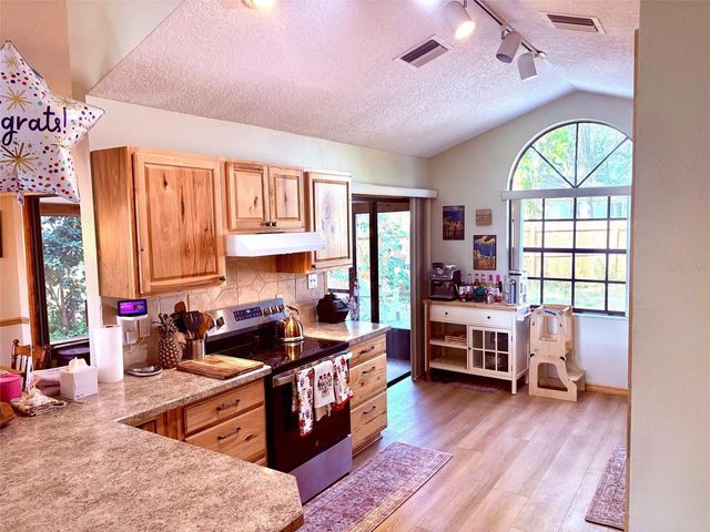 3909 LAKE FOREST STREET, Mount Dora, FL 32757