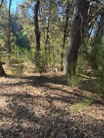 4895 Marshall Rd, Garden Valley, CA 95633