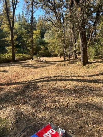 4895 Marshall Rd, Garden Valley, CA 95633