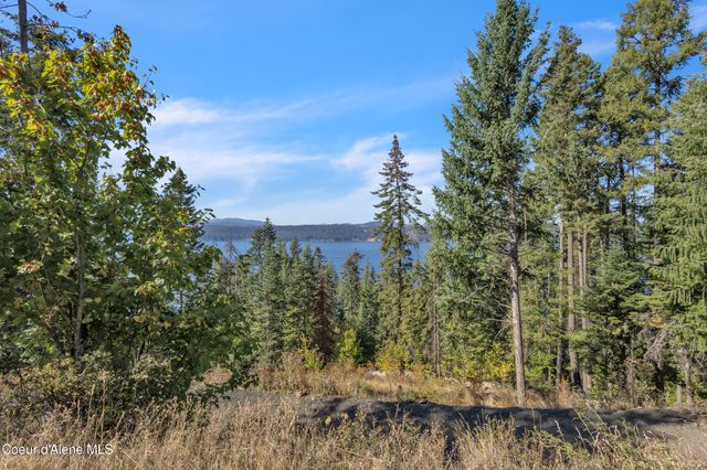 783 Cliff View Rd, Harrison, ID 83833