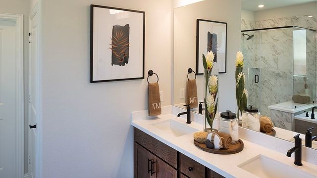 1416 Chestnut Gardens, Northlake, TX 76226