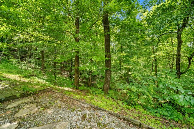 613 N Shiloh Rd, Seymour, TN 37865
