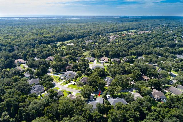 1321 WICKLOW LANE, Ormond Beach, FL 32174