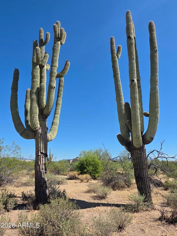 31602 N BLACK CROSS Road 19, Scottsdale, AZ 85266 — photo 5