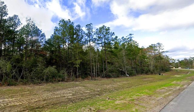 15415 Red Hawk Road, Willis, TX 77378