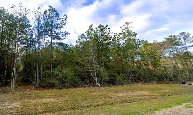 15415 Red Hawk Road, Willis, TX 77378