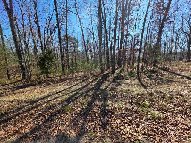 L23 B2 West Lake Addn, Ozark Acres, AR 72482