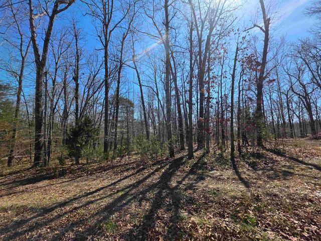 L23 B2 West Lake Addn, Ozark Acres, AR 72482