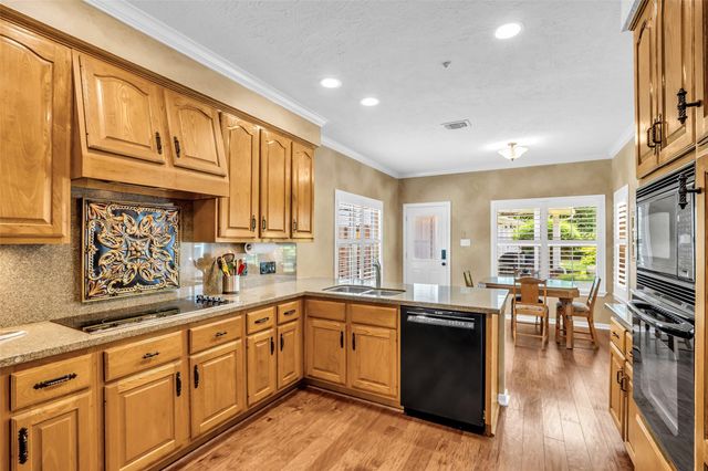 11 Feather Branch Court, The Woodlands, TX 77381
