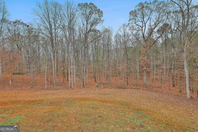 1234 Haynie Road, Moreland, GA 30259