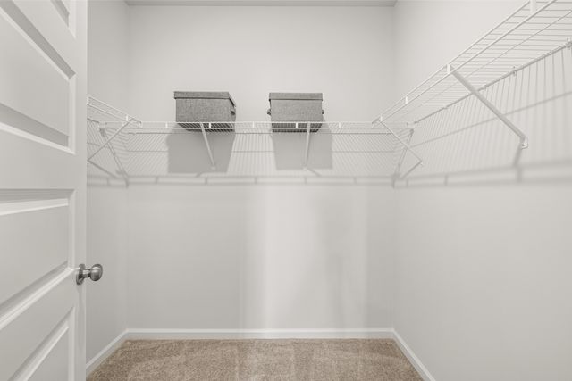 1730 Manuka Lane, Columbia, TN 38401