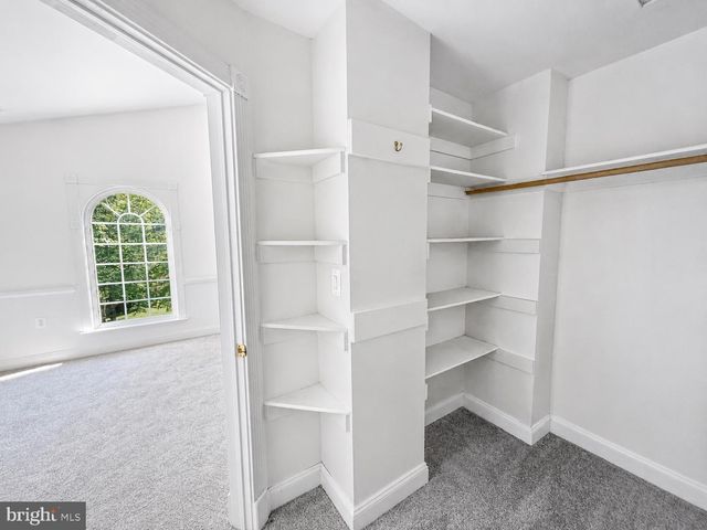 113 BURNING BUSH PL, La Plata, MD 20646