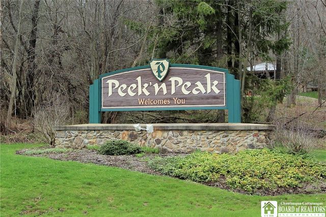 8303 Canterbury Drive, French Creek, NY 14724