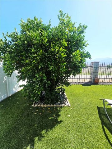 24600 Mountain 19, Hemet, CA 92544