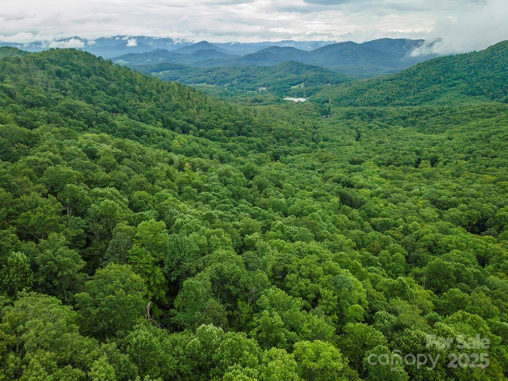 25 Hickory Springs Road 25, Burnsville, NC 28714
