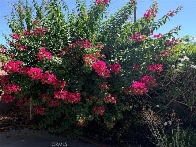 4892 Merlyn Street, Hemet, CA 92544
