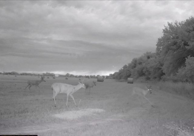 00000 S Lachland #2, Clearwater, KS 67026