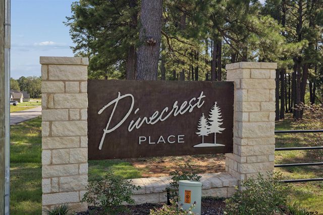 12137 Pinecrest Dr, Flint, TX 75762