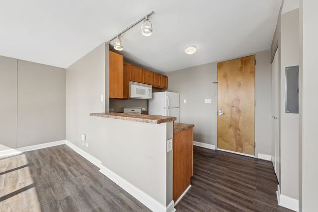 345 E Eastgate Place 204, Chicago, IL 60616