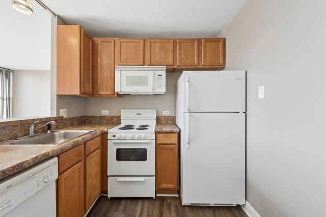 345 E Eastgate Place 204, Chicago, IL 60616