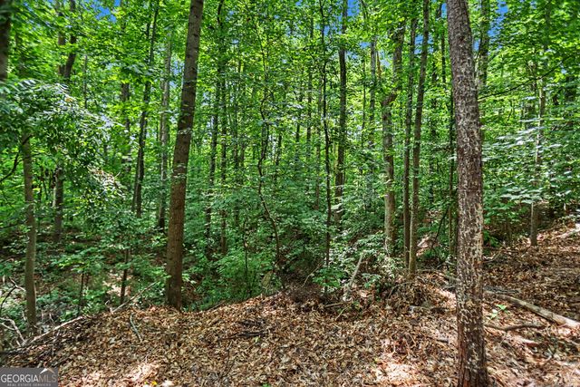 2405 Millwater Crossing, Dacula, GA 30019