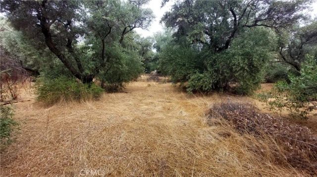 1547 Blackburn, Corning, CA 96021