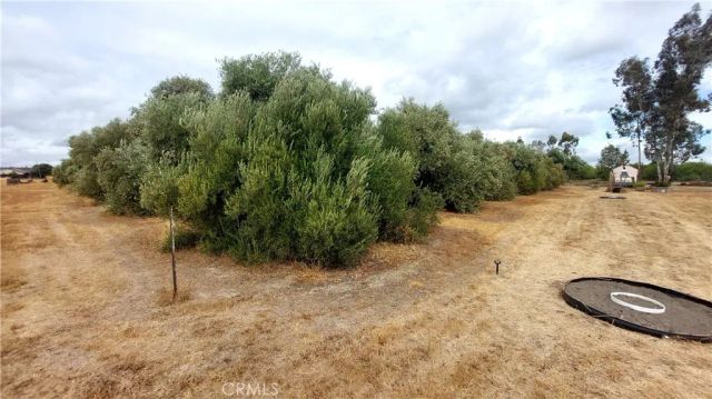 1547 Blackburn, Corning, CA 96021